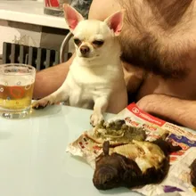 Лого пользователя A***v