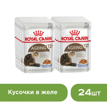 Royal Canin Ageing +12 пауч для кошек старше 12 лет (кусочки в желе), Cat food, for cats, 0,085 кг*24 шт
Royal Canin Ageing +12 пауч для кошек старше 12 лет (кусочки в желе), Cat food, for cats, 0,085 кг*24 шт