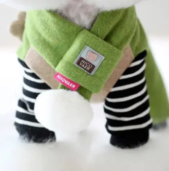 Suit for dog with scarf
Suit for dog with scarf