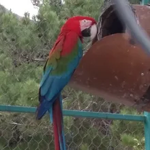 Лого пользователя A***n