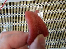 1 Uds simulación realista falso lengua funda para el dedo bruto bromas juguete para bromas trucos de magia de Halloween horrible accesorios de mago