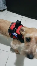 Arnés de perro sin tirones, arnés de mascota ajustable transpirable reflectante para chaleco de perro, Parche de identificación personalizado para exteriores, suministros para perros que caminan