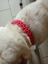 Collar de Color mejorado de alta calidad para perros grandes, Pastor Alemán, cadena P, ajustable, para perros medianos y grandes