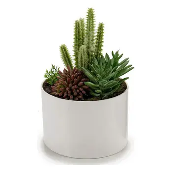 Plant pot Ibergarden (13 x 17 x 13 cm)
Plant pot Ibergarden (13 x 17 x 13 cm)