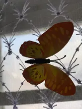 Wall-Stickers House-Decoration Living-Room Butterfly 12PCS Pvc 3d for High-Quality