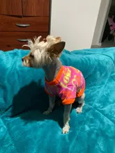 De lana caliente ropa de perro mascota lindo cráneo impreso Pet cachorro camisa para perros chaqueta Bulldog francés Jersey camuflaje perro ropa