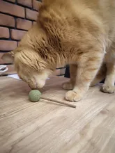 Productos para mascotas Gato juguetes hierba gatera Natural Lollipop forma mascotas Molar dientes juguete del gato Navidad Año nuevo regalo