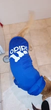 Perro ropa para mascotas Casual con capucha abrigo otoño perros grandes abrigo chaqueta ropa Labrador traje de impresión en Color de gran tamaño
