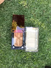 Granja de hormigas planas, nido de acrílico y hormigón, casa para mensajeros, Camponotus, faiille