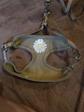 Chaleco para gatos mascota con arnés Floral para perros pequeños, conjunto de arnés y correa de malla acolchada, para cachorros, Chihuahua, Yorkie 10E