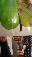 The Very Hungry Caterpillar de Eric Carle-libro educativo de imágenes en inglés, libro de cuentos de cartas de aprendizaje para bebés y niños, regalos
