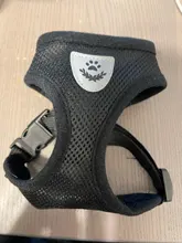 Chaleco de malla respirable para mascota, conjunto de arnés y correa para perro pequeño, cachorro, gato, arnés, Collar para Chihuahua, Pug, Bulldog, gato, arnes