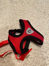 Conjunto de arnés y correa de malla para perros pequeños, chaleco para cachorros y gatos, arnés para Chihuahua, Pug, Bulldog, arnes, perro, arnés tipo chaleco para perro, petshop