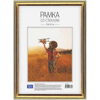 Frame plastic officespace color gold 21x30 cm
Frame plastic officespace color gold 21x30 cm