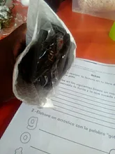 El acné Blackhead removedor de aguja herramientas de Blackhead pinzas Extractor para espinillas de acero inoxidable de peligros de herramienta de cuidado de la piel