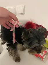 Arnés para perro ajustable de nailon para cachorro, Chihuahua, arnés chaleco para perro, conjunto de correa rosa para perros medianos y pequeños, productos para mascotas