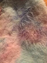 Riñonera con dibujos animados para niños, Cangurera para el pecho, monedero para chico y niña, riñonera con cinturón de tiburón, Mini riñonera cruzada