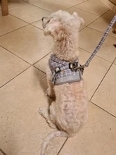 Arnés pequeño y mediano para perro, correa reflectante transpirable para el pecho, a cuadros, ropa para mascota Bichón, suministros de cadena para perro, chaleco estampado