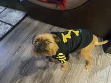 SUPREPET-ropa para perro Bulldog francés, capucha con patrón de rayas, chaqueta para perro Bulldog francés