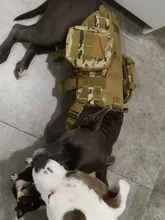 Dog-Vest Pet-Training-Vest Military-Working Tactical Dogs Strong-Dog Large with Handle