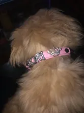 Collares para perro cachorro con diamantes de imitación ostentosos, Collar personalizado para perros pequeños y Chihuahua, dijes con nombre gratis, accesorios para mascotas