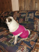 Ropa para Perro barata, adorable chaleco para Perro, camiseta para mascotas, disfraz para perros, Ropa de algodón para cachorros, trajes para perros pequeños