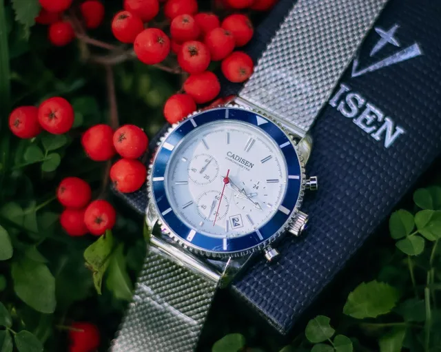 Кварцевые часы CADISEN C9067 - характеристики