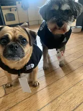 Dog Coat Jacket Pet-Dog-Clothes Down French-Bulldog Chihuahua Winter Fashion Small Medium-Sized