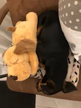 Juguete de entrenamiento de Mascota de peluche para cachorros, alivio de la ansiedad, ayuda para dormir, mordedores de juguete para perros