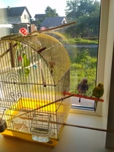 Periquito de piedra Molar de 4cm, juguete de cacatúa, Mineral, loro, boca, piedra de molienda, jaula de piedra, juguete