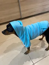 Winer-Ropa para Perro, Sudadera con capucha de diseño puro para gato y Perro, chaqueta para cachorro Chihuahau, Ropa para mascotas, Pug, novedad de 2020