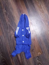 Suéter con capucha Para gato, Ropa cálida Para mascotas, Para gatos, Sphinx, satten, Ropa Para gatos, Kedi, Giyim, productos Para mascotas