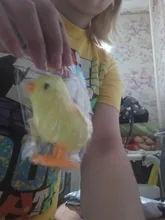 Juguetes para niños, relleno de medias de pollito de cuerda mecánica, juguetes pequeños de animales para niños, regalos