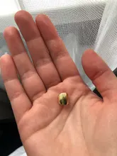 HUANZHI-pendientes de Metal con clip para hueso del oído para mujer, aretes sin Piercing, Color dorado/plateado, joyería de fiesta para niña 2020