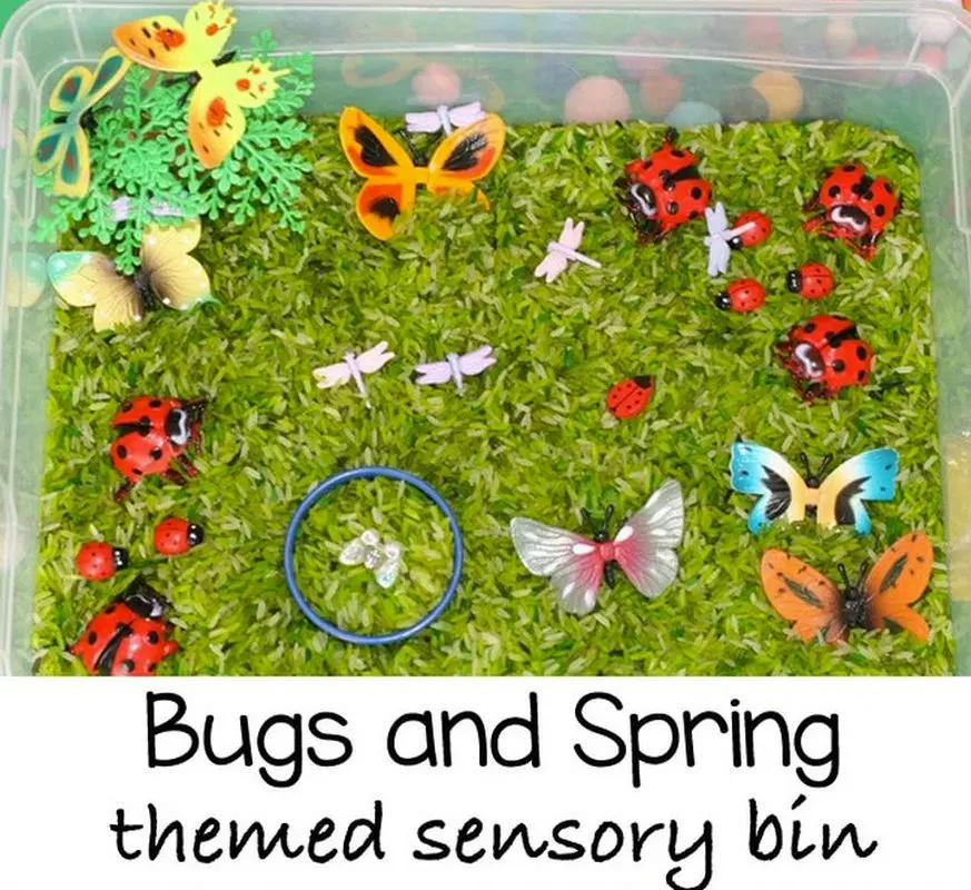 Montessori Spring Theme Sensory Activities kindergarten early education Home School Preschool Teaching aid Material
Montessori Spring Theme Sensory Activities kindergarten early education Home School Preschool Teaching aid Material