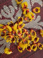 Hanging-Cups Chicken-Nipple-Drinker Drinking Poultry-Bird-Cage Waterline 25mm of 40sets