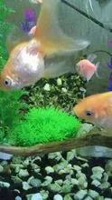 Aquarium Decor Fish-Tank-Decorations Water-Weeds-Ornament Plant Artificial-Grass
