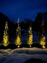 Spotlight Separately-Lamp Solar-Panel Garden-Tree Landscape Yard Warm T-SUNRISE 2 White