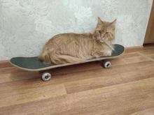 Hiseeu 48V 8/16 puertos interruptor de POE Ethernet 10/100Mbps IEEE 802,3 af/a para cámara IP/Sistema de cámaras de seguridad CCTV inalámbrico/AP ft