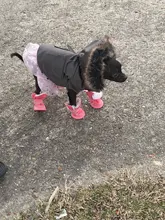 4 Uds. Zapatos de invierno gruesos para mascotas, zapatos antideslizantes para botas, calzado para mascotas, productos para perros pequeños, gatos y cachorros