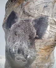 SONSPEE-Camiseta 3D de camuflaje para hombre y mujer, ropa de calle informal a la moda, jersey de manga corta