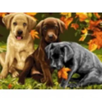 Painting by numbers on canvas 40x50 cm "Labrador puppies" Red Cat x-8390 
Painting by numbers on canvas 40x50 cm "Labrador puppies" Red Cat x-8390