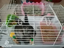 Alimentador de mascotas, tazones de alimentación de heno, perchero para Conejo, conejillo de indias, Chinchilla