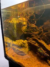 Landscaping-Decoration Moss Rattan-Decor Tree-Vine Aquarium Aquatic-Plants Fish-Tank