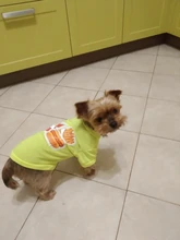 Ropa para Perro barata, adorable chaleco para Perro, camiseta para mascotas, disfraz para perros, Ropa de algodón para cachorros, trajes para perros pequeños