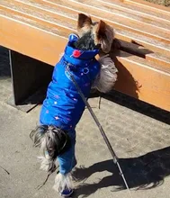 Abrigo de invierno para perro pequeño abrigo de perro cálido, chaqueta para perro, traje para cachorro, abrigo para perro Chihuahua Shih Tzu, ropa para perro