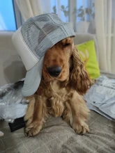 Hats Caps Mesh-Hat Baseball-Cap Surf Women Snapback Hip-Hop-Bone Sports Breathable TQMSMY