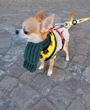 Scarf Jacket Dogs French Bulldog Winter Plush-Coat Pet-Dog Cotton Warm Thick for Puppy-Ropa-Perro