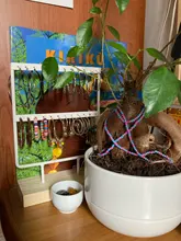 Organizador de pendientes Estante de presentación de joyería colgar y ganchos escaparate para decoración del hogar