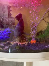 Paisajismo del tanque de peces, decoración de acuario con forma volcánica, adornos de rocalla, herramienta de oxigenación, 2021